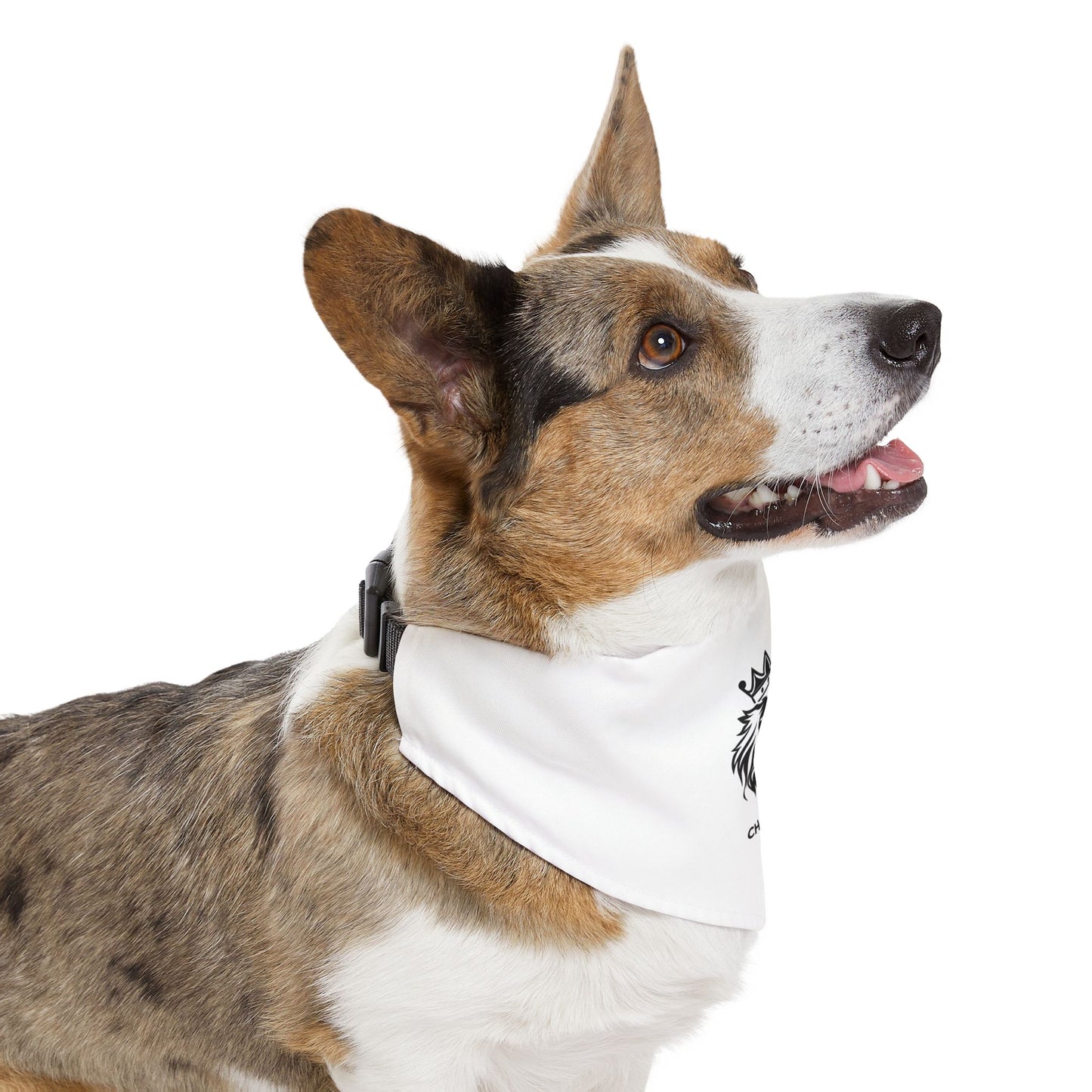 Charlotte Shots Pet Bandana Collar